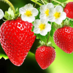 O1CN01sq0inb2JkjWY6dr1M__2213216199460