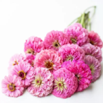 O1CN01rjz72C2JkjlupO8ve__2213216199460_jpg_q50_jpg