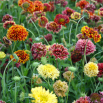 O1CN01lVuAOL2JkjlqZhVda__2213216199460_jpg_q30_jpg