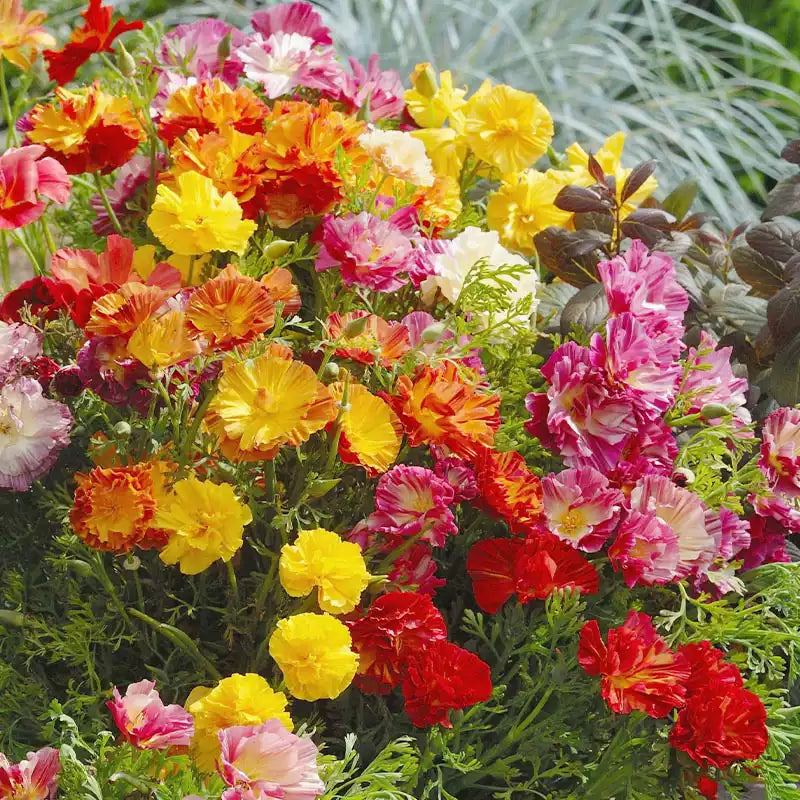 O1CN01amKuL62JkjbJ0bkdS__2213216199460_jpg_q50_jpg