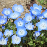 O1CN01tsTCNQ2Jkjm2kFhp4__2213216199460_jpg_q50_jpg