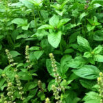 O1CN01HTuNeu2JkjXEz2j0N__2213216199460_jpg_q50_jpg