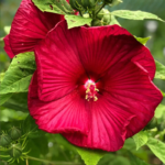 O1CN01CJhJXn2Jkjj1inYAY__2213216199460