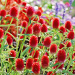 O1CN01MR6evu2BdOJAOZZL6__2044468361-0-cib