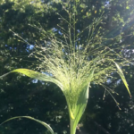 O1CN014tbSpv2Jkjm0bTHZF__2213216199460_jpg_q50_jpg