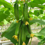 O1CN01xCAfWG2ByufzrciHL__378168408_jpg_q50_jpg