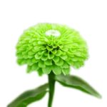 O1CN01bWpkWK2JkjfmNQjHh__2213216199460_jpg_q50_jpg