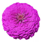 O1CN01EIJLmB2JkjlxolSaG__2213216199460_jpg_q50_jpg