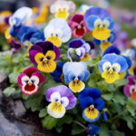 O1CN01Ab4oZV2Jkjlu2Loi8__2213216199460.jpg_q50.jpg__1