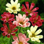 O1CN01UTyubV2JkjlVglzMG__2213216199460_jpg_q50_jpg