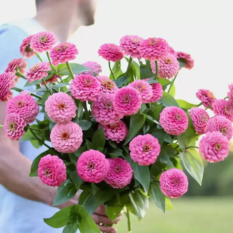 O1CN01di40vj2JkjlytfDOB__2213216199460_jpg_q50_jpg