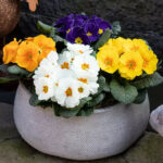 O1CN011ylD792Jkjm3HEppK__2213216199460.jpg_q30.jpg__1