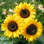 28147_pwyxgvn5jkpoihtv