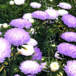 O1CN013QxHh72JkjlbcJlQX__2213216199460_jpg_q50_jpg