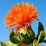 O1CN018jXFwW1G4e0YSMo4R__405560569_jpg_q50_jpg