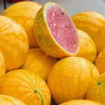 O1CN01eg20Mx1zIX4mV0NTf__3972516691.png_q50.jpg__1