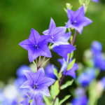 O1CN01e7Sspx2Jkjm1IZMdx__2213216199460