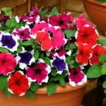 O1CN012tVrAM2Jkjlud0cOz__2213216199460_jpg_q50_jpg