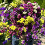 O1CN010cxFVt2JkjlY7Q4Vs__2213216199460_jpg_q50_jpg