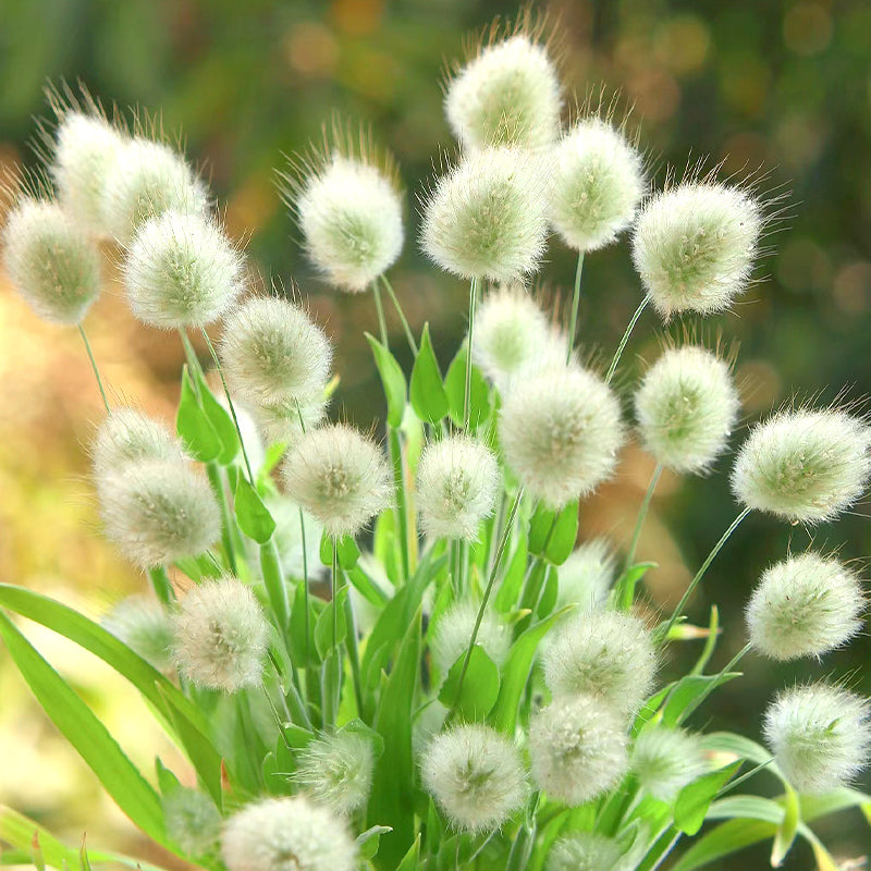 O1CN01fkjdph2Jkjg7BkWy2__2213216199460