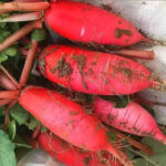 O1CN01VB1ZHI2MznQQwIUiF__3433789899_jpg_q50_jpg