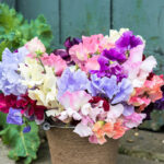 O1CN01uFlWd02JkjlTK35t6__2213216199460