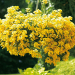 O1CN0188BOnu2JkjaTBwM3P__2213216199460_jpg_q30_jpg