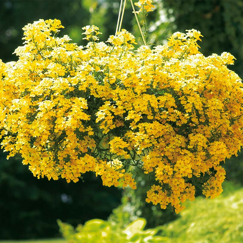 O1CN01gb1F6k2JkjaPvCR6H__2213216199460