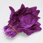 Purple Snapper (F1) Spinach Seeds