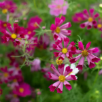 O1CN01UTyubV2JkjlVglzMG__2213216199460_jpg_q50_jpg