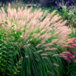 O1CN01BGUybX2Jkjbd8z8t4__2213216199460_jpg_q50_jpg