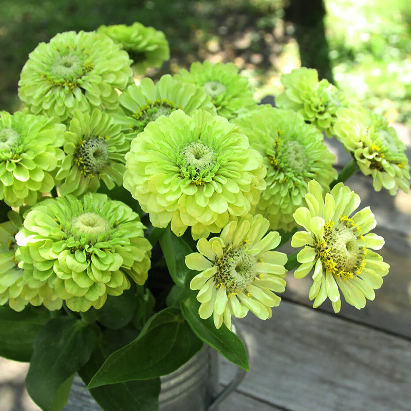 O1CN01hIXT8g2JkjfsWDyqE__2213216199460