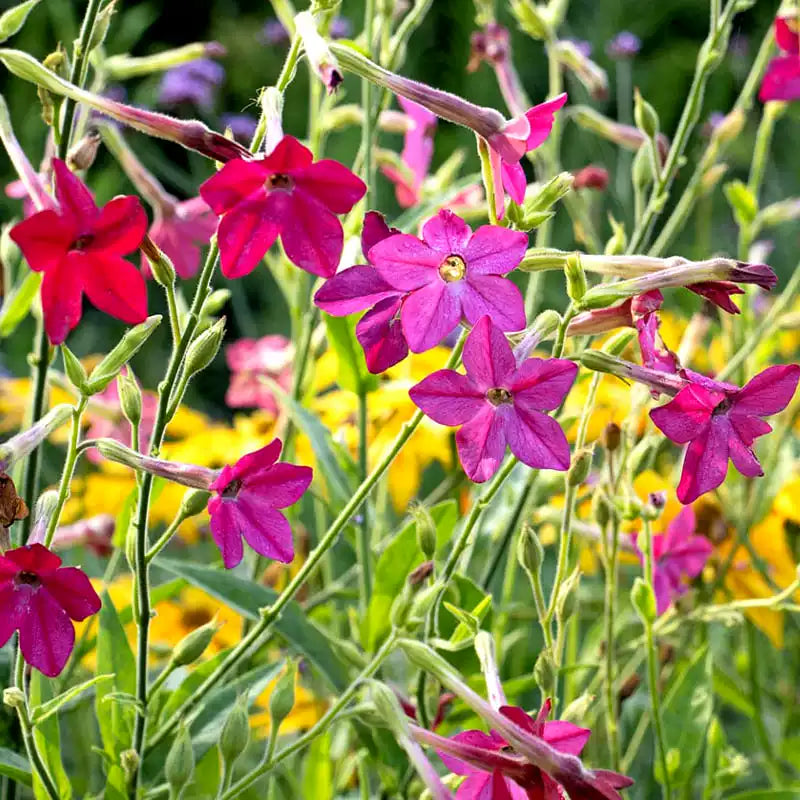 O1CN01haeEh82JkjlihcHFG__2213216199460_jpg_q50_jpg