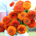 O1CN018Hka7G2JkjcCIaJN6__2213216199460_jpg_q50_jpg