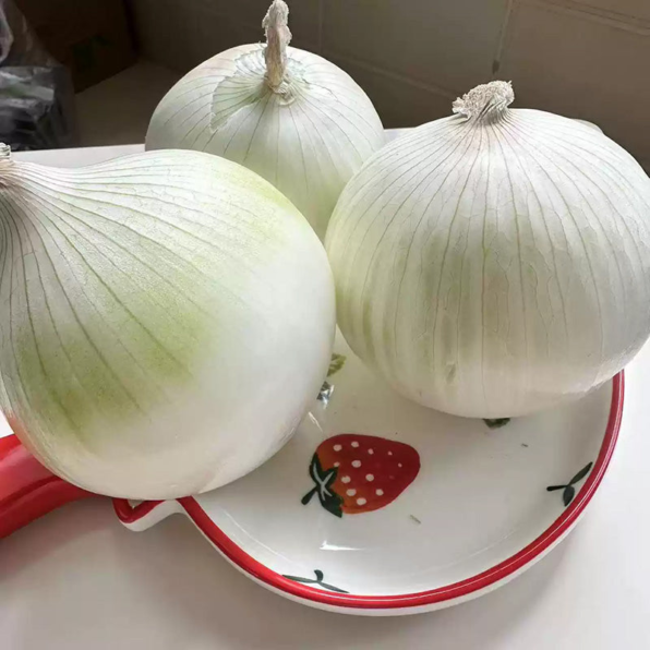 White Onion Seeds
