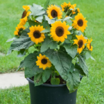 O1CN01ynCKl72JkjlaVEaIX__2213216199460_jpg_q50_jpg