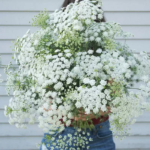 O1CN01w7SHQY2Jkjlx4EIty__2213216199460_jpg_q50_jpg