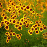 O1CN01sqy6662Jkjln4wQwN__2213216199460_jpg_q30_jpg