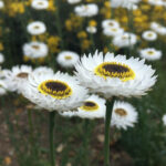 O1CN01vUSgYu2JkjikmrG5o__2213216199460_jpg_q50_jpg