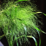 O1CN014tbSpv2Jkjm0bTHZF__2213216199460_jpg_q50_jpg