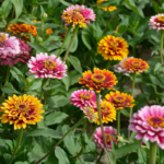 O1CN01Vpd5JH2JkjXYvstrn__2213216199460_jpg_q30_jpg_430e3d5f-558b-4399-be89-fc806f9389d0