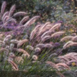 O1CN01BGUybX2Jkjbd8z8t4__2213216199460_jpg_q50_jpg