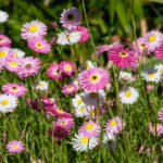 O1CN0144UUwJ2Jkjajh3XzT__2213216199460.jpg_q50.jpg__1