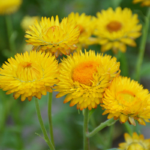 O1CN01VEQsJn2JkjmCpB1zM__2213216199460_jpg_q30_jpg