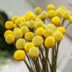 O1CN01gm2c6v2JkjlVcwUbO__2213216199460_jpg_q50_jpg