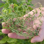 O1CN01ebDHQL2JkjXYBnNaQ__2213216199460