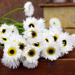 O1CN01vUSgYu2JkjikmrG5o__2213216199460_jpg_q50_jpg