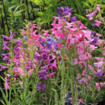 O1CN01msI5iP2JkjbWE1yz9__2213216199460