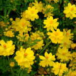 O1CN01eIVW4x2JkjlU0ElLK__2213216199460