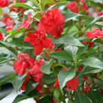 O1CN01yD0FOu2JkjlVhxgUl__2213216199460